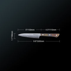 Meteorite PaintedBunting 5" Utility Knife - Compact Kitchen Blade for Precision Peeling & Detail Work, 67-Layer Damascus Steel with Trendy Acrylic Handle