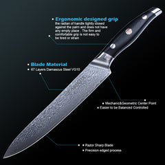ABEILLIA Professional 9inch Carving Knife Damascus Steel VG10 Meat Slicing Knives with Black G10 Handle