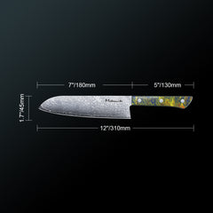 Meteorite PaintedBunting 7" Santoku Knife - Japanese Kitchen Blade for Effortless Chopping & Slicing, 67-Layer Damascus Steel with Stylish Acrylic Handle