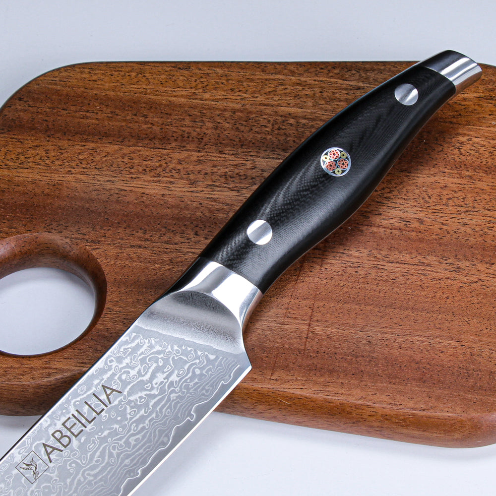 Abellia Libra Professional 9inch Carving Knife Damascus Steel VG10 Meat Slicing Knives with Black G10 Handle