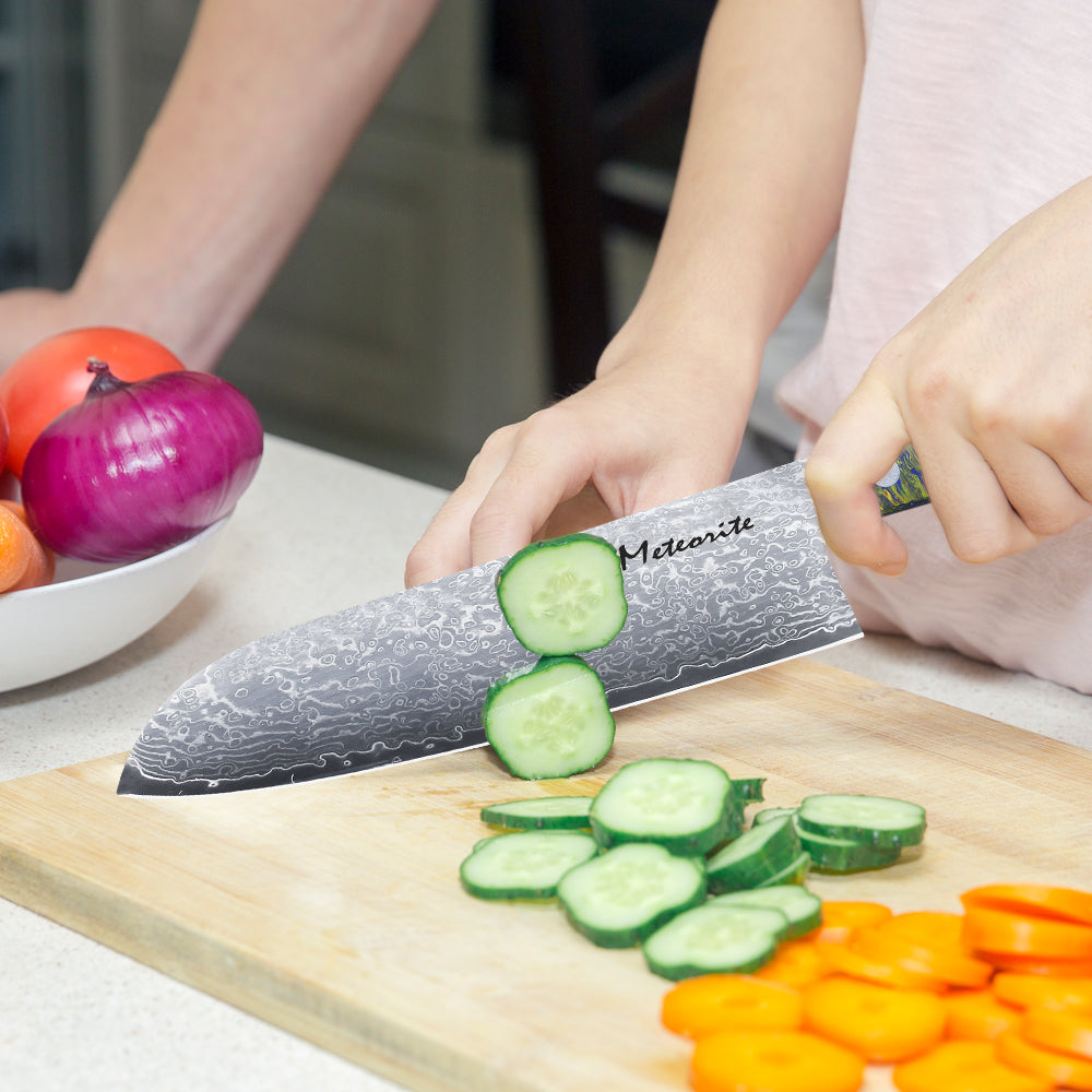 Meteorite PaintedBunting 7" Santoku Knife - Japanese Kitchen Blade for Effortless Chopping & Slicing, 67-Layer Damascus Steel with Stylish Acrylic Handle