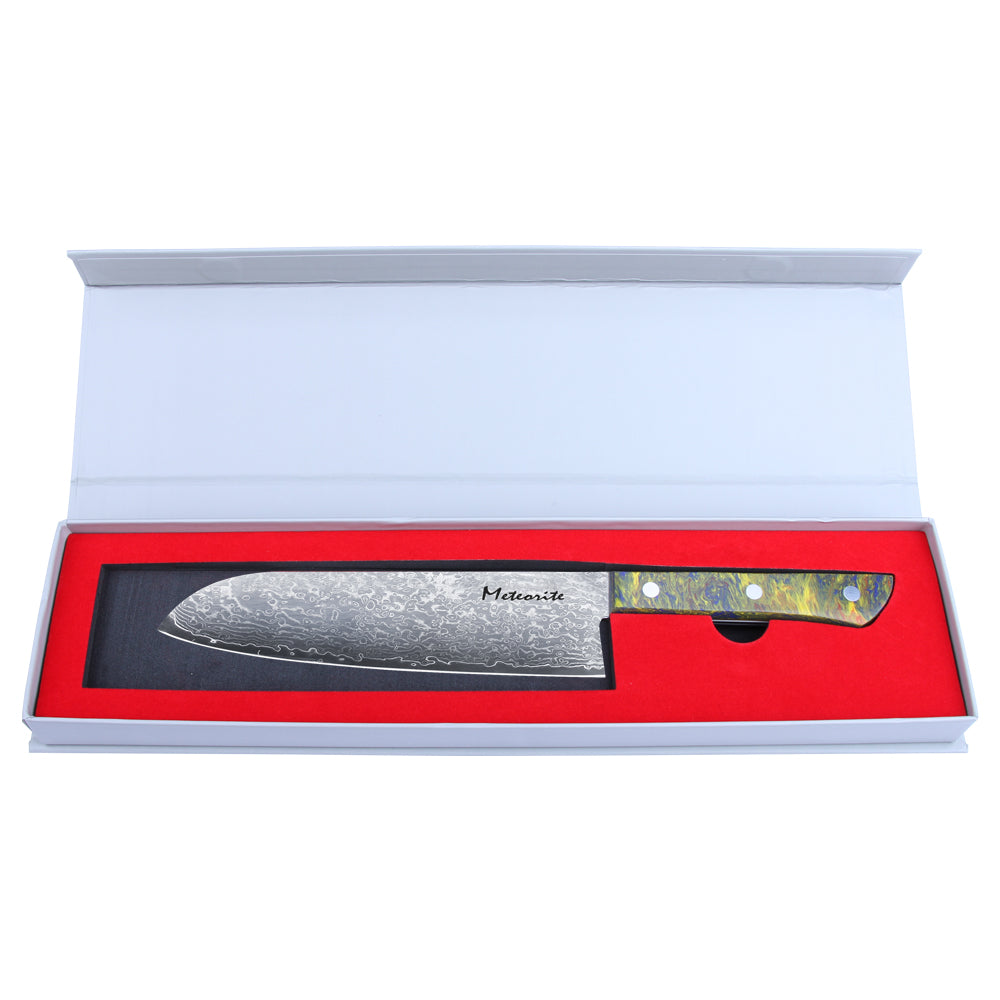 Meteorite PaintedBunting 7" Santoku Knife - Japanese Kitchen Blade for Effortless Chopping & Slicing, 67-Layer Damascus Steel with Stylish Acrylic Handle
