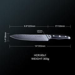 ABEILLIA Professional 9inch Carving Knife Damascus Steel VG10 Meat Slicing Knives with Black G10 Handle