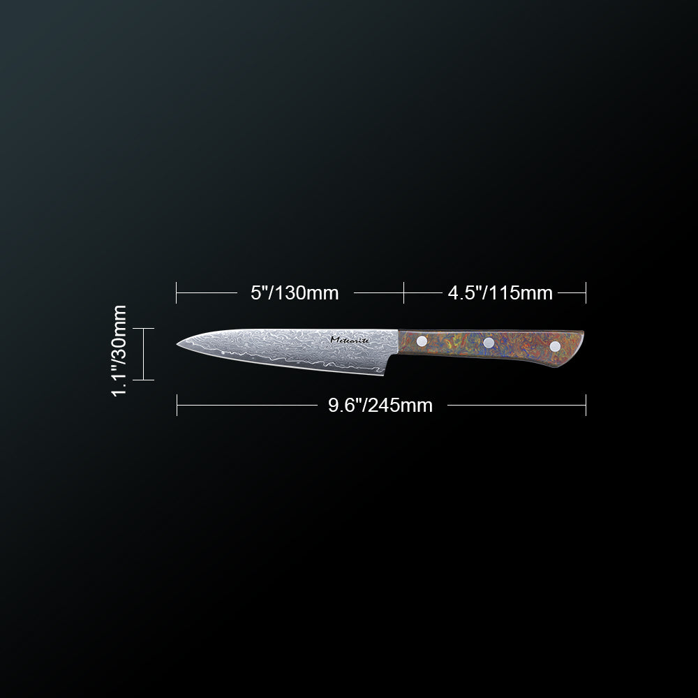 Meteorite PaintedBunting 5" Utility Knife - Compact Kitchen Blade for Precision Peeling & Detail Work, 67-Layer Damascus Steel with Trendy Acrylic Handle