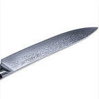 Abellia Libra Professional 9inch Carving Knife Damascus Steel VG10 Meat Slicing Knives with Black G10 Handle