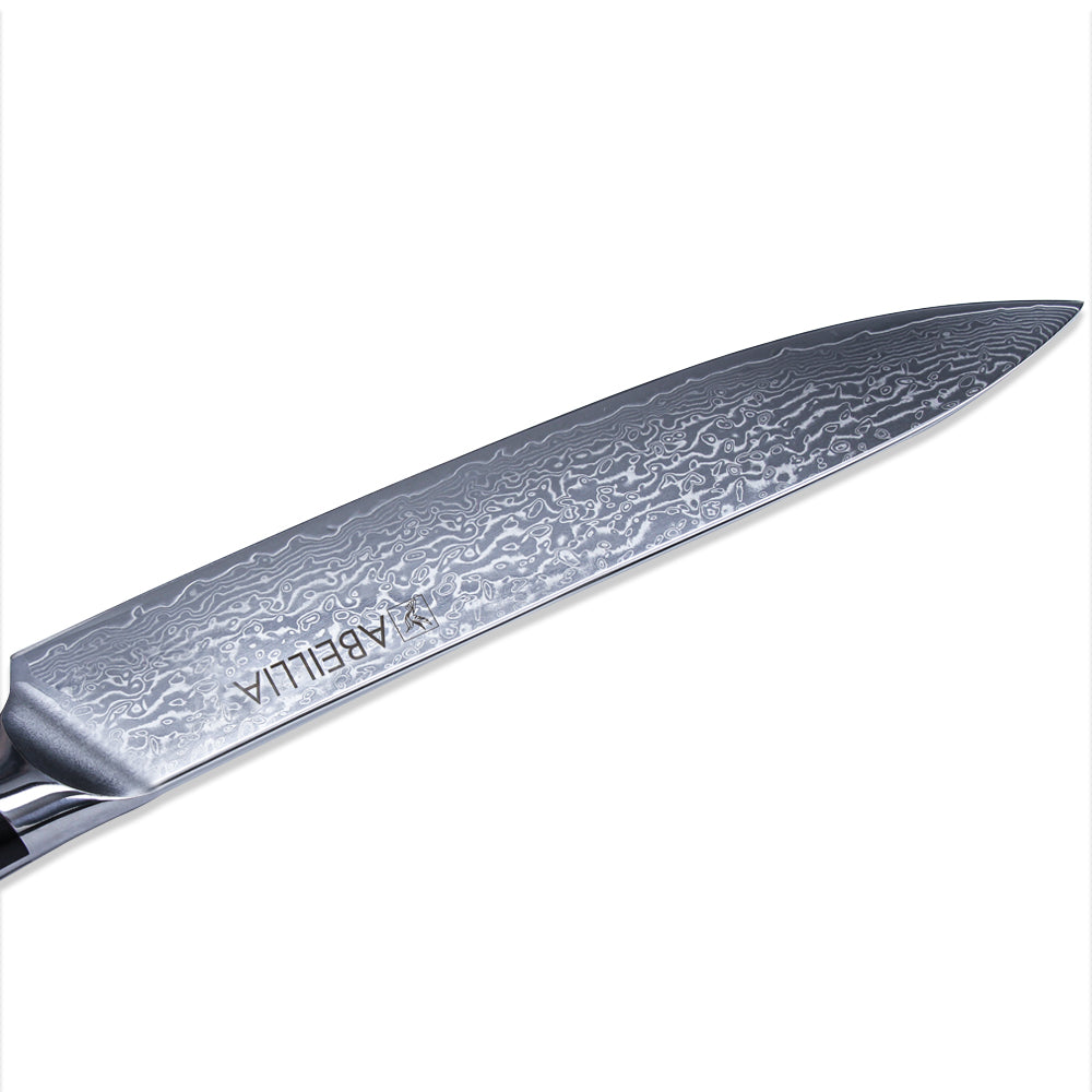 Abellia Libra Professional 9inch Carving Knife Damascus Steel VG10 Meat Slicing Knives with Black G10 Handle