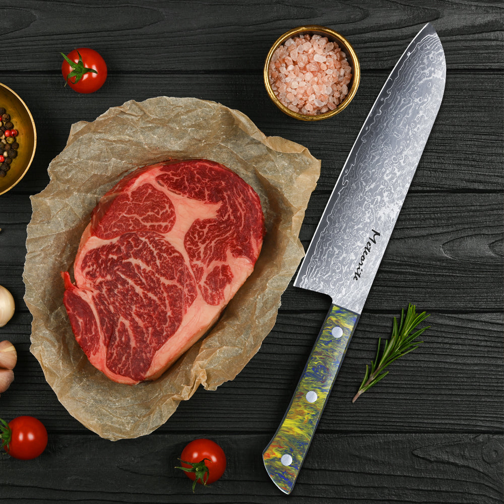 Meteorite PaintedBunting 7" Santoku Knife - Japanese Kitchen Blade for Effortless Chopping & Slicing, 67-Layer Damascus Steel with Stylish Acrylic Handle