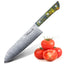 Meteorite PaintedBunting 7" Santoku Knife - Japanese Kitchen Blade for Effortless Chopping & Slicing, 67-Layer Damascus Steel with Stylish Acrylic Handle