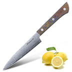 Meteorite PaintedBunting 5" Utility Knife - Compact Kitchen Blade for Precision Peeling & Detail Work, 67-Layer Damascus Steel with Trendy Acrylic Handle