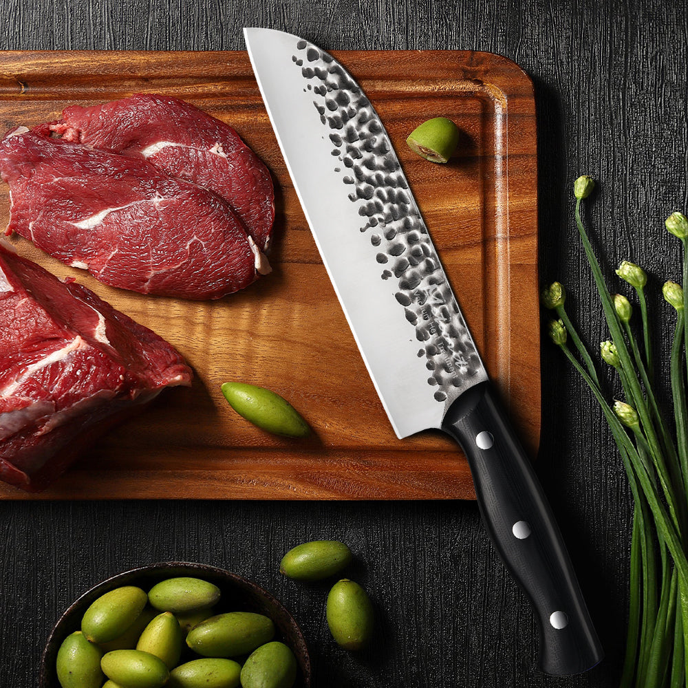 Meteorite Reindeer 8'' Santoku Knife - Outdoor Camp Kitchen Knife for Picnic Food Prep & Bushcraft｜Japanese-Style High-Carbon Stainless Steel  & Grip-Tech G10 Handle