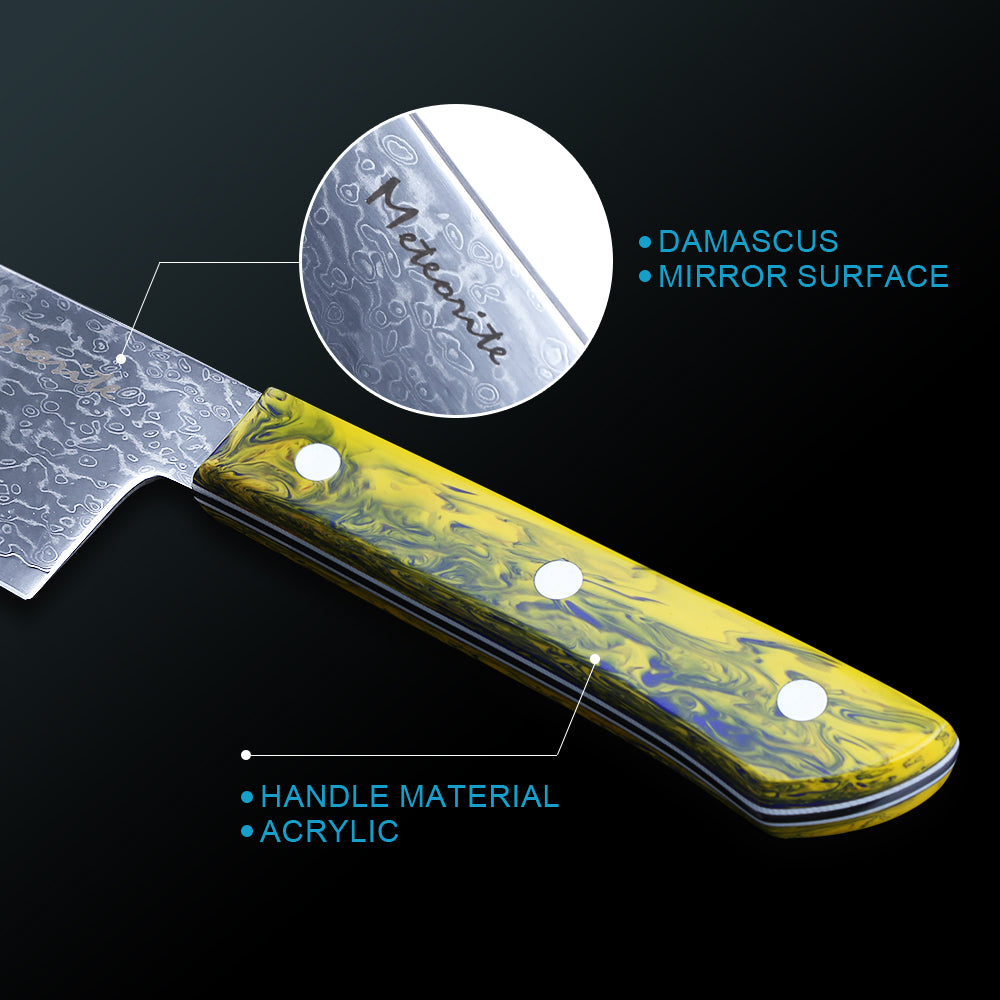 Meteorite PaintedBunting 8.3'' Gyuto - Professional Kitchen Blade for Precision Slicing & Dicing, 67-Layer Damascus Steel with Acrylic Handle