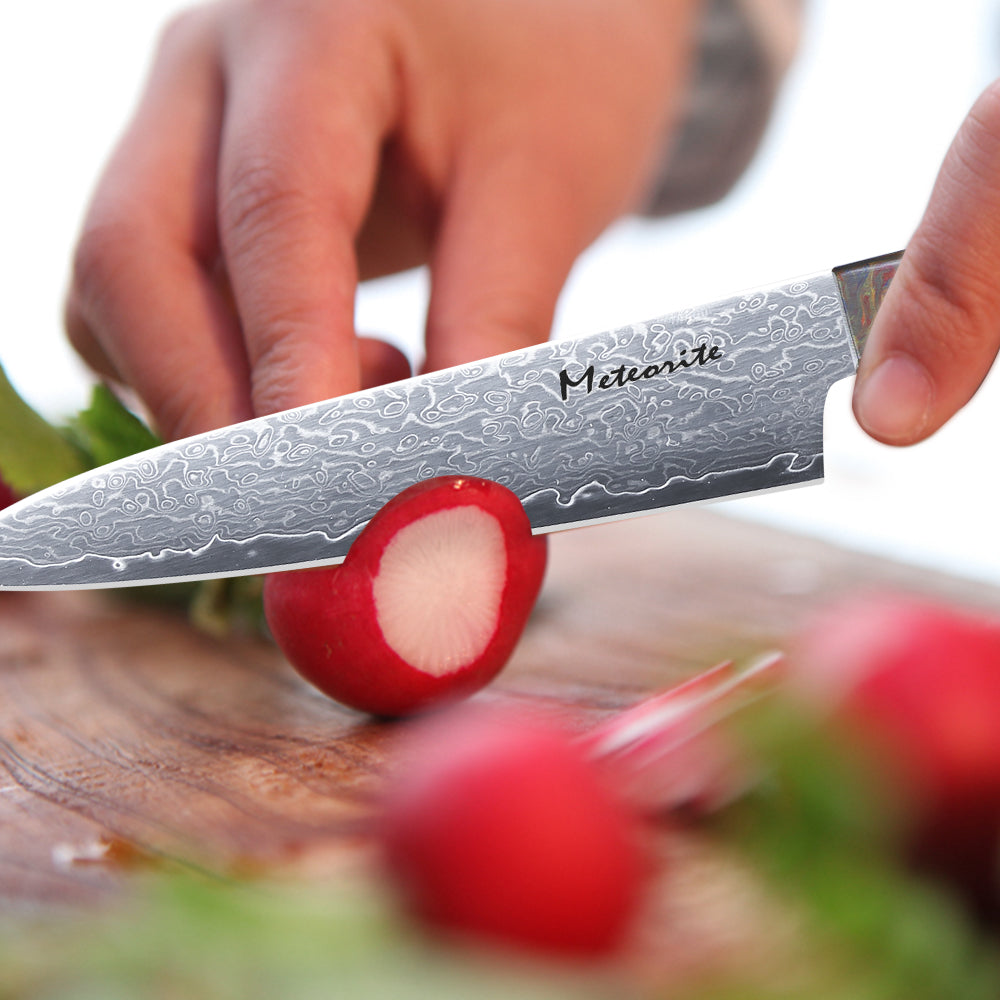 Meteorite PaintedBunting 5" Utility Knife - Compact Kitchen Blade for Precision Peeling & Detail Work, 67-Layer Damascus Steel with Trendy Acrylic Handle