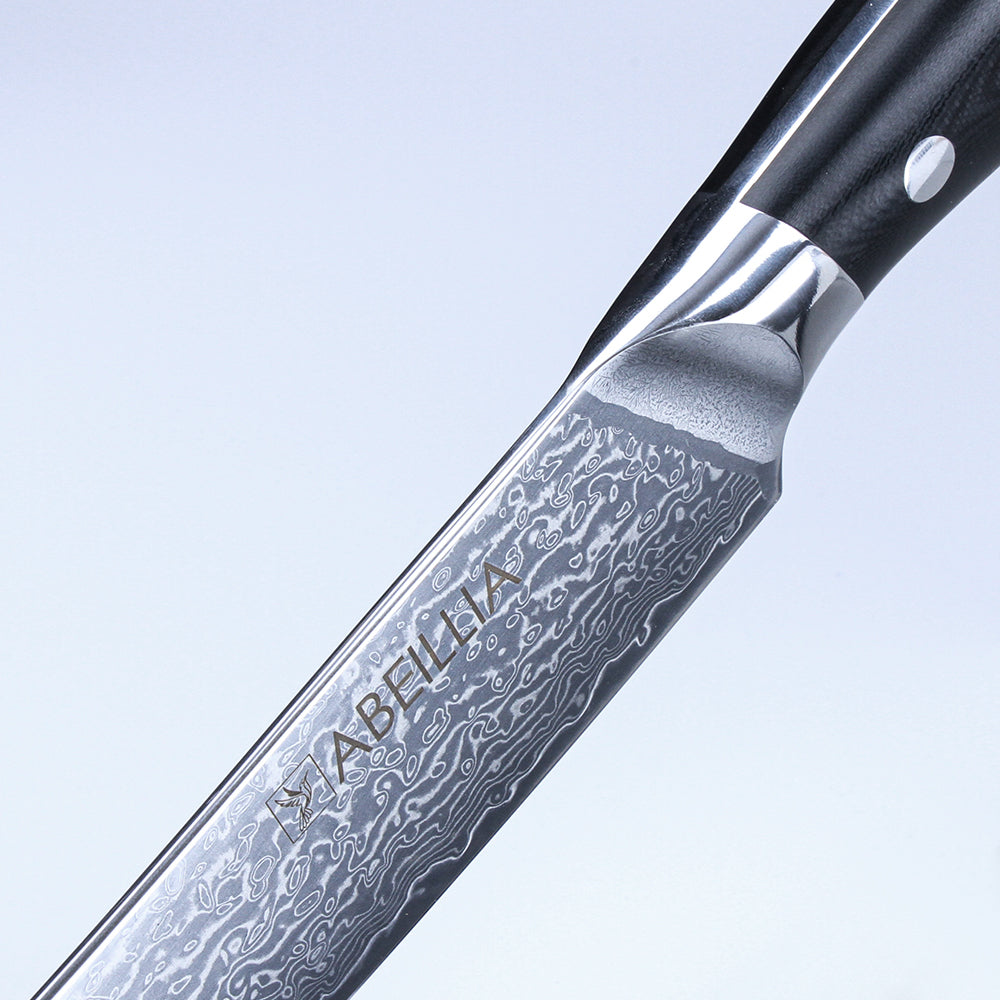 ABEILLIA Professional 9inch Carving Knife Damascus Steel VG10 Meat Slicing Knives with Black G10 Handle