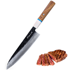 Meteorite IceRaven 8.3" Gyuto - Japanese Chef's Knife with Black/Sliver Hammered and 67-Layer Damascus Blade & Olive Wood Handle